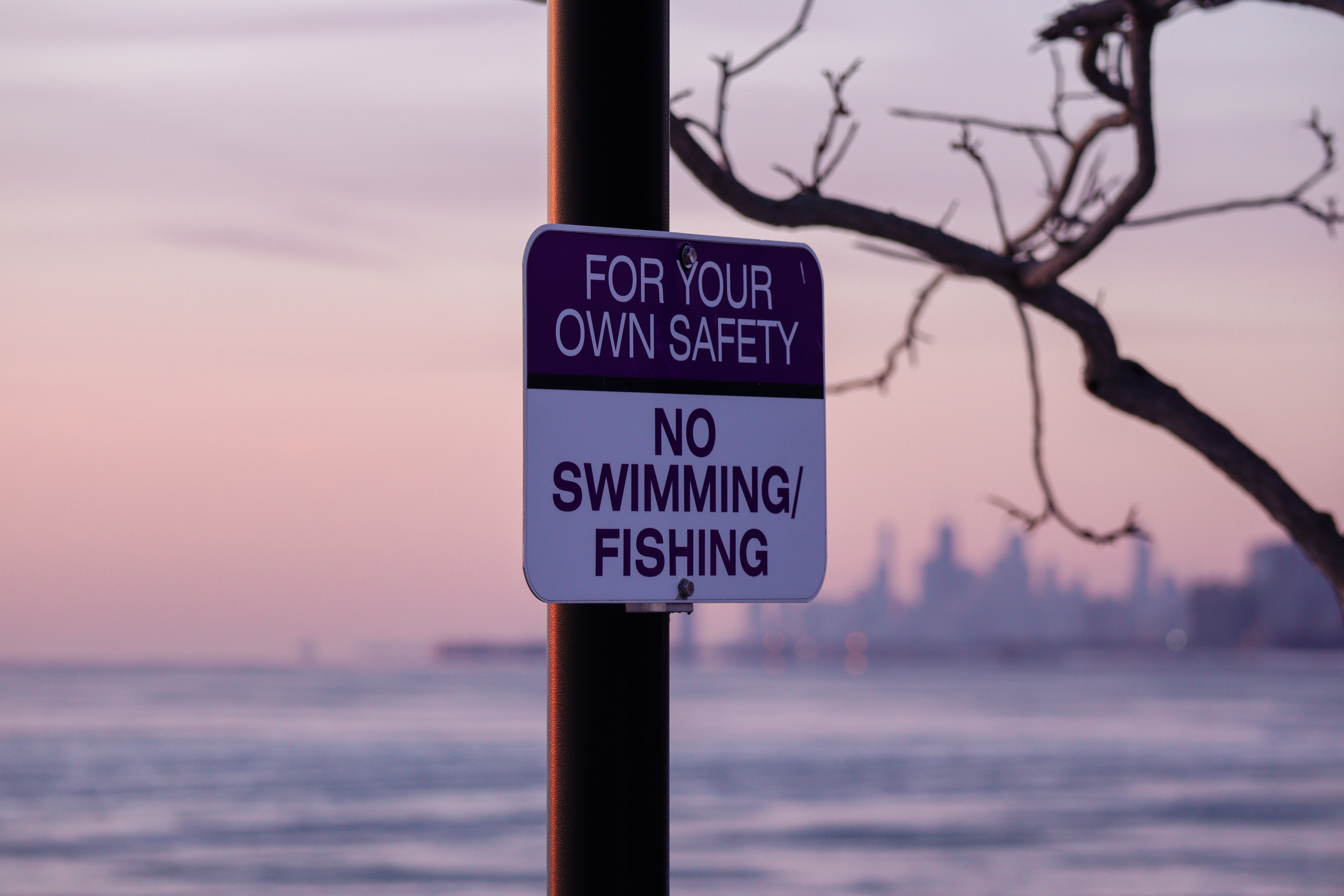 Photography by Wendy Huang