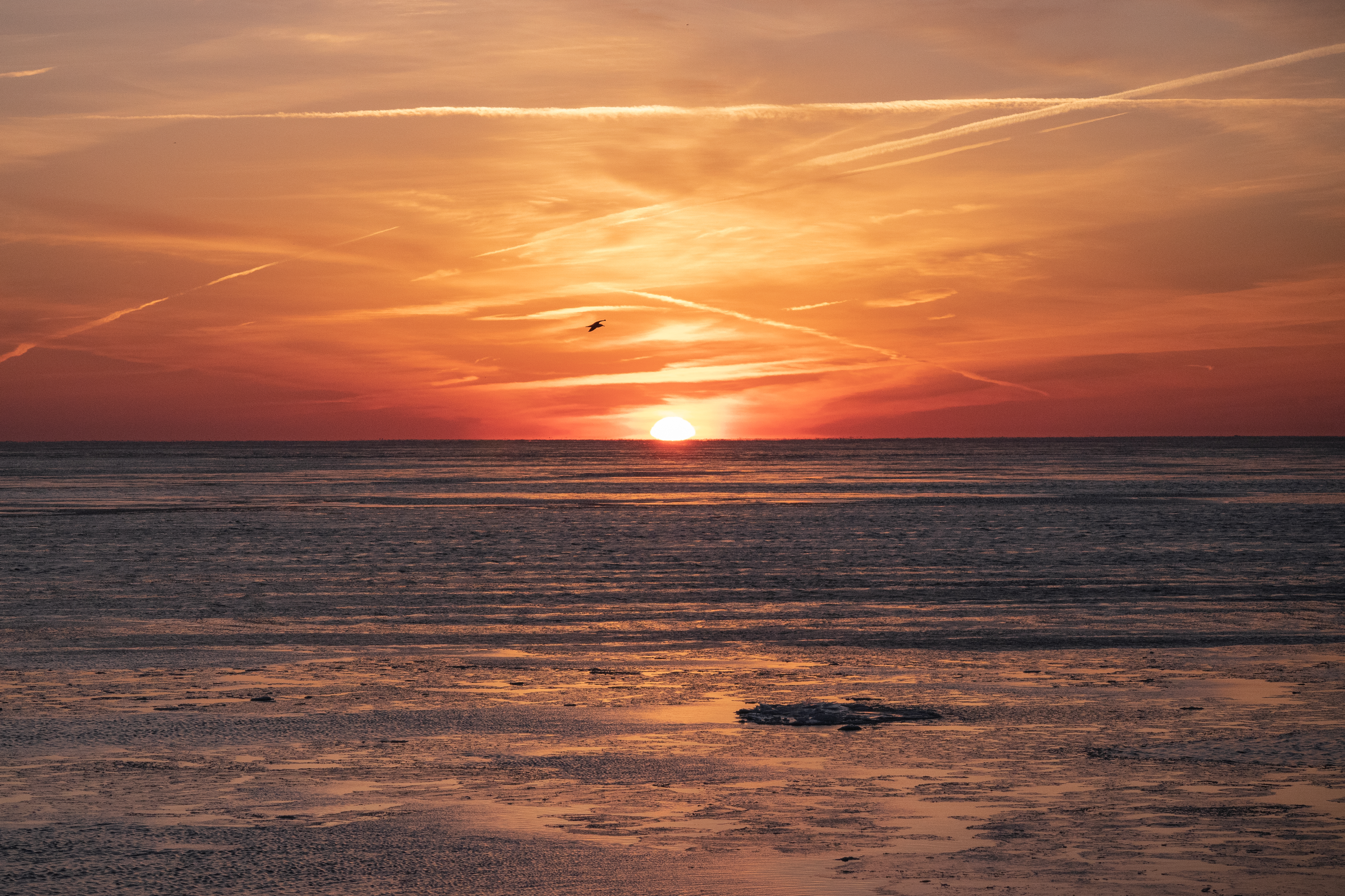 Photography by Wendy Huang