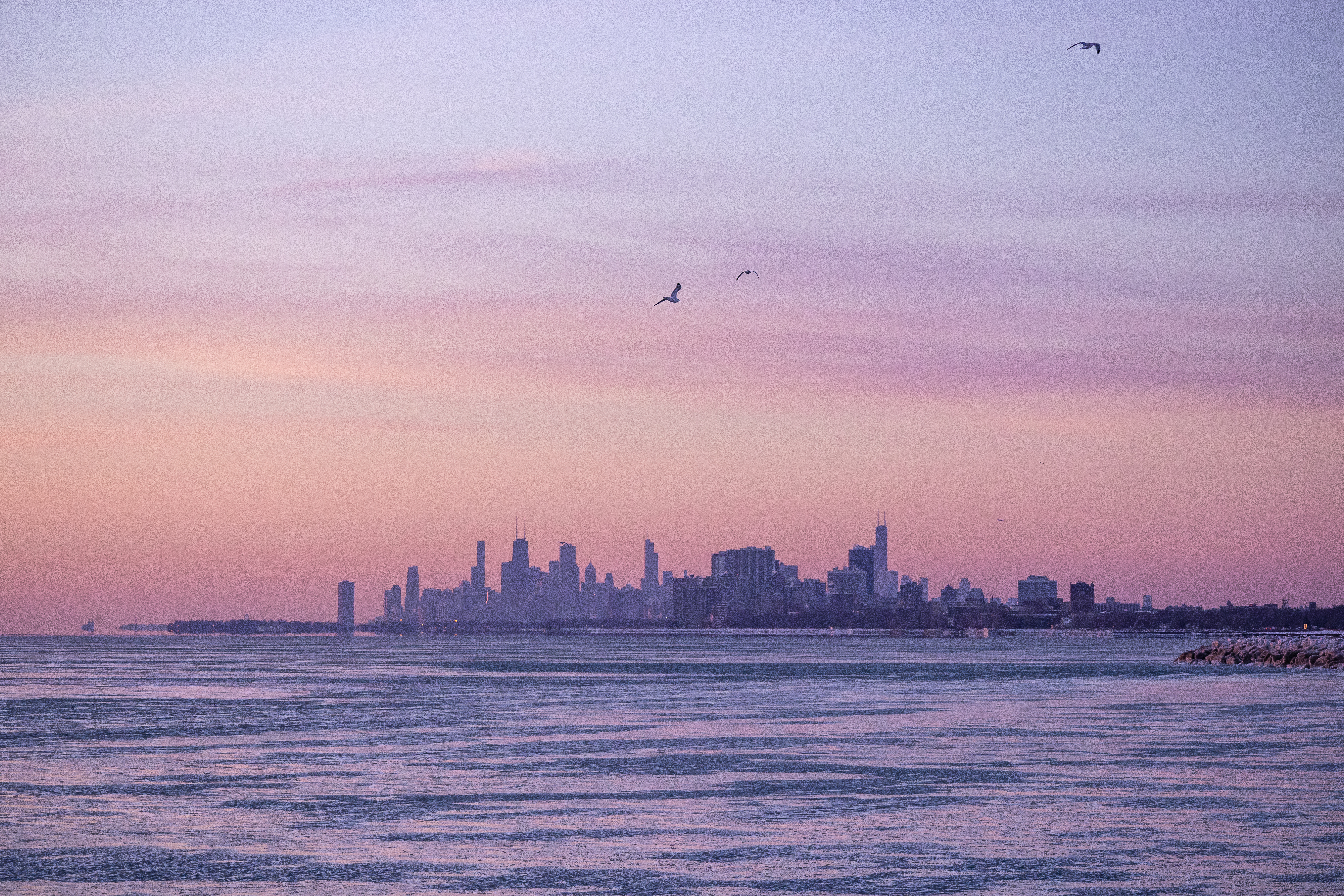 Photography by Wendy Huang