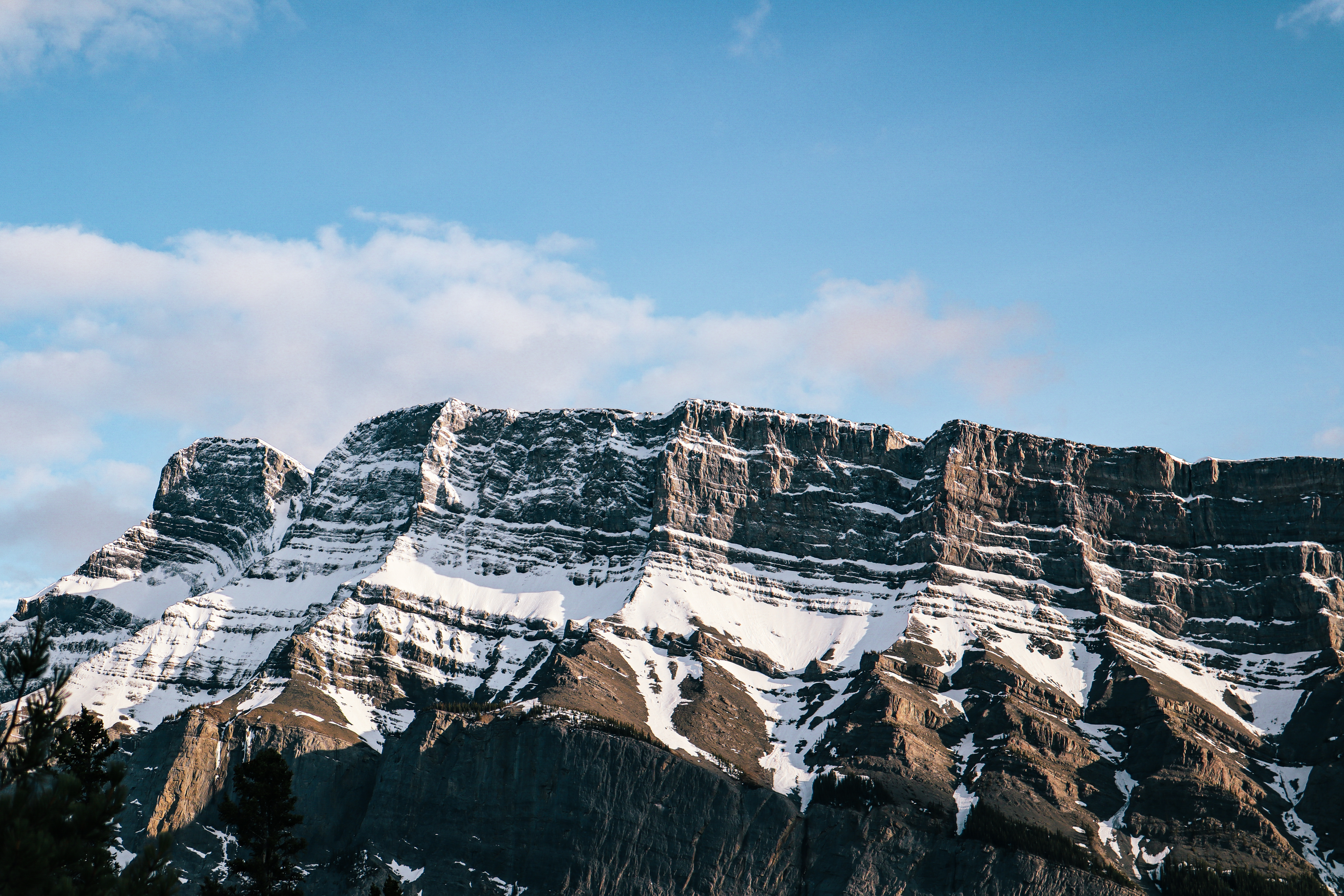 Photography by Wendy Huang